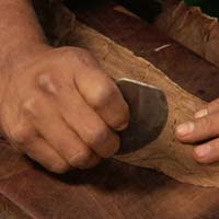 Fine Cigars Bayahibe