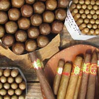 Fine Cigars Bayahibe